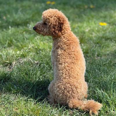 Gabi's Profilbild