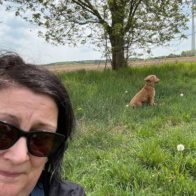 Hundetreffen-Treffen und Runde in Wandlitz und Umgebung-Bild