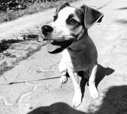 Foto-Challenge 76: Foto in Schwarz-Weiss-Beitrag-Bild