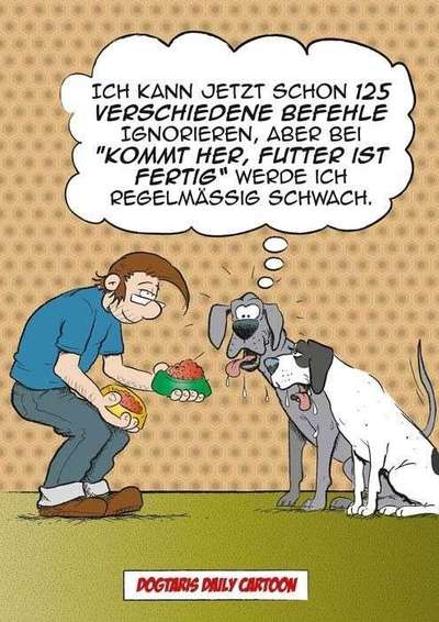 Hier ist der Spaßthread. Zum Schmunzeln und Kaputtlachen-Beitrag-Bild