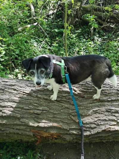 Theos Fotochallenge Nr. 3-Beitrag-Bild