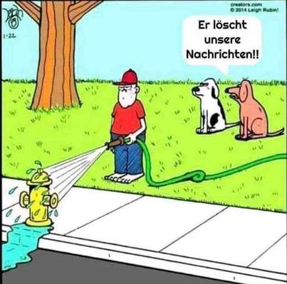 Hunde Memes-Beitrag-Bild