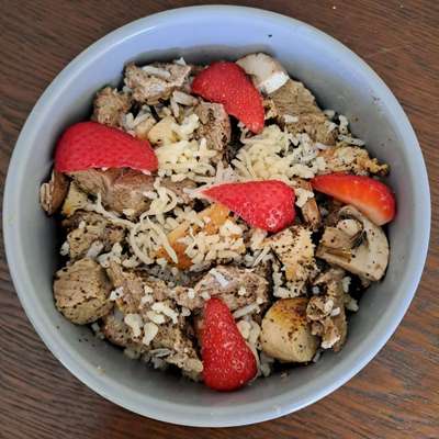 Zeigt her Eure Futternäpfe-Beitrag-Bild