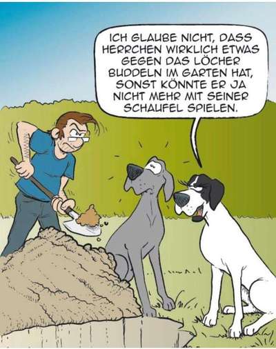 Hunde Memes-Beitrag-Bild