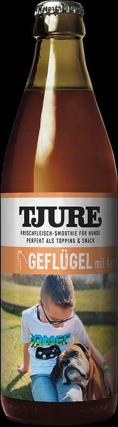 Hundeeis für den Sommer-Beitrag-Bild