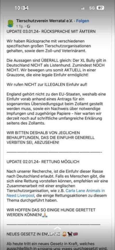 Tierschutzhunde suchen ein Zuhause-Beitrag-Bild