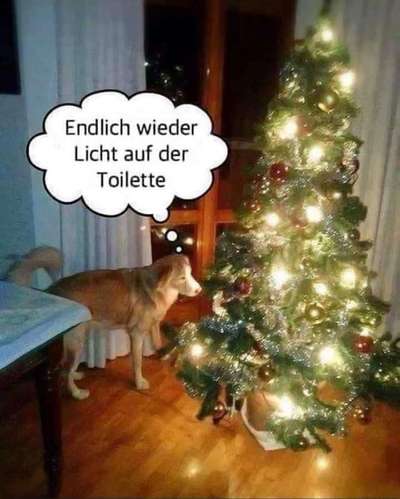 Hier ist der Spaßthread. Zum Schmunzeln und Kaputtlachen-Beitrag-Bild