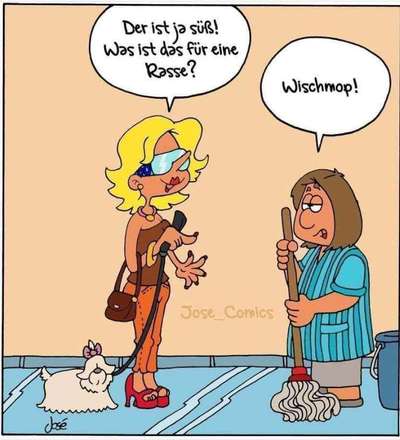 Hunde Memes-Beitrag-Bild