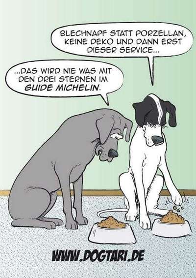 Zeigt her Eure Futternäpfe-Beitrag-Bild