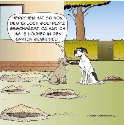 Hier ist der Spaßthread. Zum Schmunzeln und Kaputtlachen-Beitrag-Bild