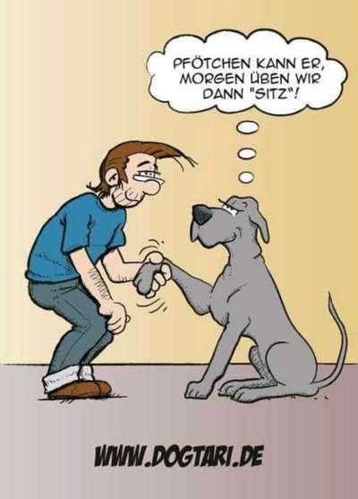 Hunde Memes-Beitrag-Bild