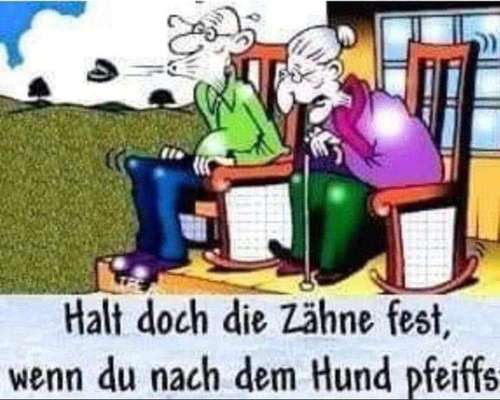 Hunde Memes-Beitrag-Bild