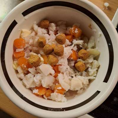 Zeigt her Eure Futternäpfe-Beitrag-Bild