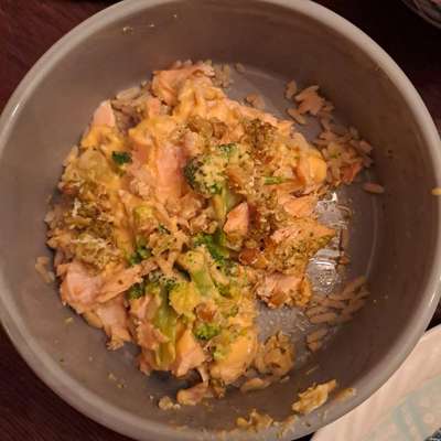 Zeigt her Eure Futternäpfe-Beitrag-Bild