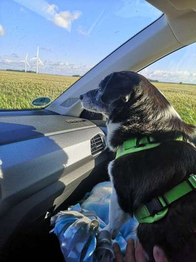 Fotochallenge 101:
On Tour-Beitrag-Bild