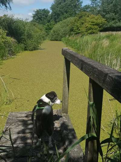 Theos  Fotochallenge Nummer 2-Beitrag-Bild