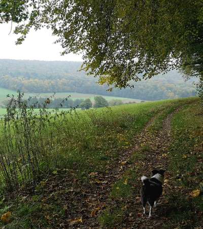 Fotochallenge Nr 107-Beitrag-Bild