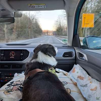 Erfahrungen mit Vomex A bei Reiseübelkeit-Beitrag-Bild