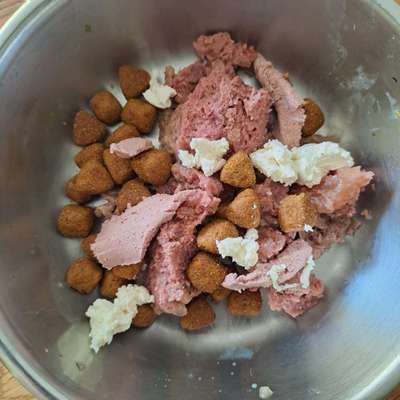 Zeigt her Eure Futternäpfe-Beitrag-Bild