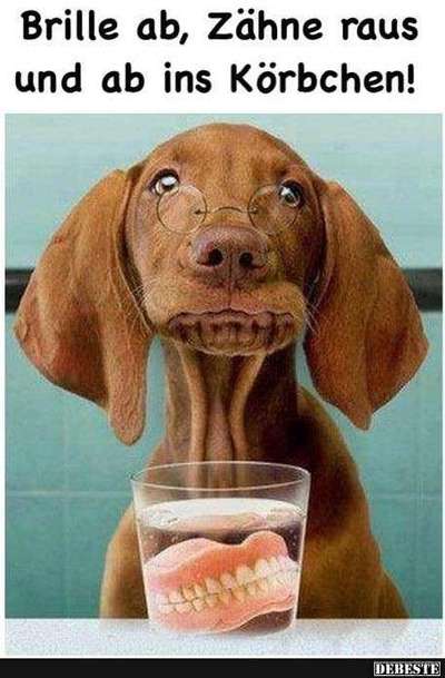 Hier ist der Spaßthread. Zum Schmunzeln und Kaputtlachen-Beitrag-Bild