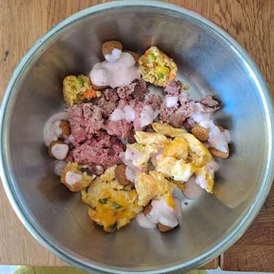 Zeigt her Eure Futternäpfe-Beitrag-Bild