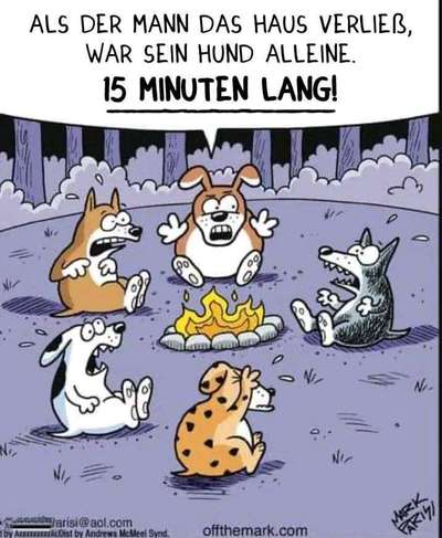 Hunde Memes-Beitrag-Bild