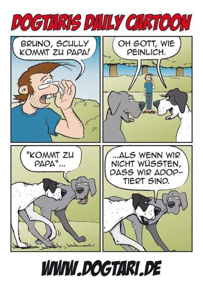 Hunde Memes-Beitrag-Bild
