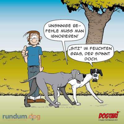 Hunde Memes-Beitrag-Bild