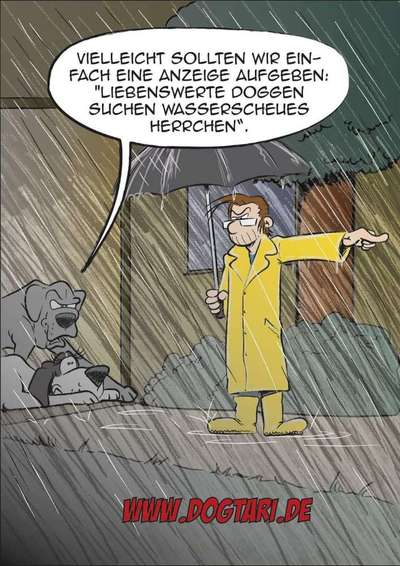 Hunde Memes-Beitrag-Bild