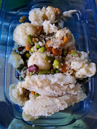 Zeigt her Eure Futternäpfe-Beitrag-Bild