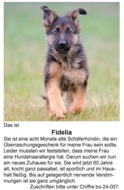 Hier ist der Spaßthread. Zum Schmunzeln und Kaputtlachen-Beitrag-Bild