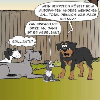 Hier ist der Spaßthread. Zum Schmunzeln und Kaputtlachen-Beitrag-Bild