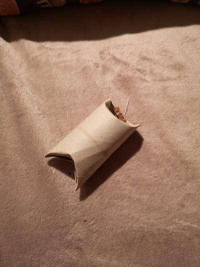 Seniorenbeschäftigung-Beitrag-Bild