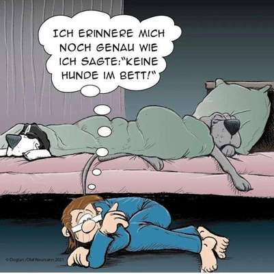 Hunde Memes-Beitrag-Bild