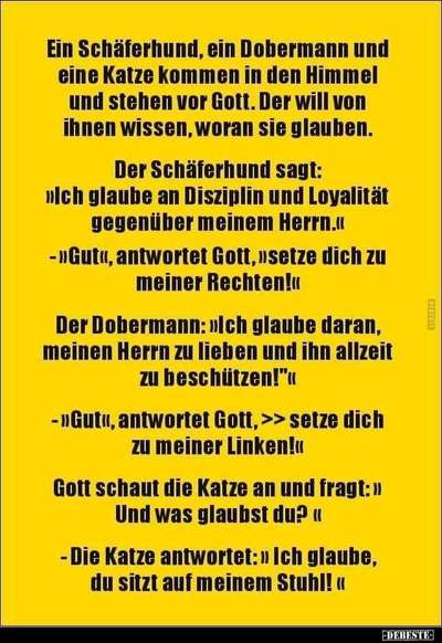 Hunde Memes-Beitrag-Bild