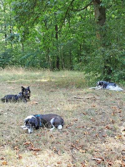 Handy-Foto-Challange Nr. 8-Beitrag-Bild