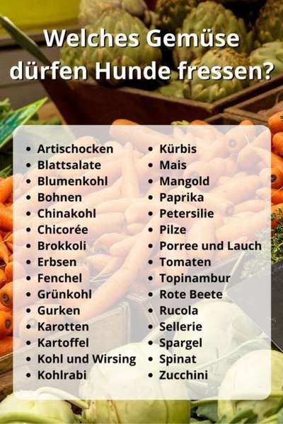 Zeigt her Eure Futternäpfe-Beitrag-Bild