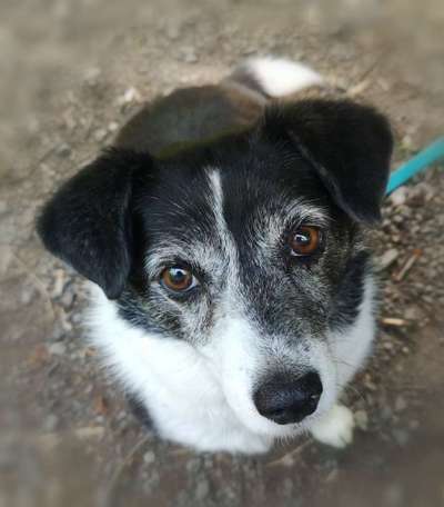 Handy-Foto Challange Nr. 10-Beitrag-Bild