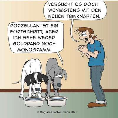 Zeigt her Eure Futternäpfe-Beitrag-Bild