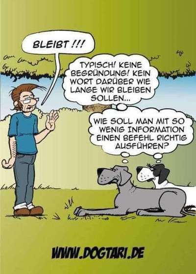 Hunde Memes-Beitrag-Bild