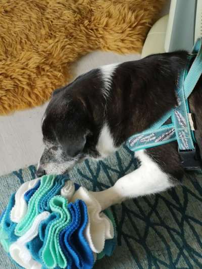 15. Handyfoto Challenge - Indoor Aktivitäten-Beitrag-Bild