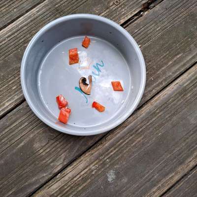 Zeigt her Eure Futternäpfe-Beitrag-Bild