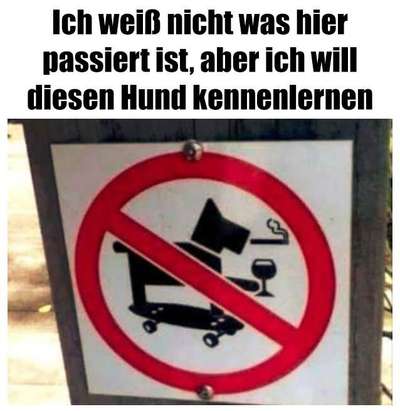 Hunde Memes-Beitrag-Bild