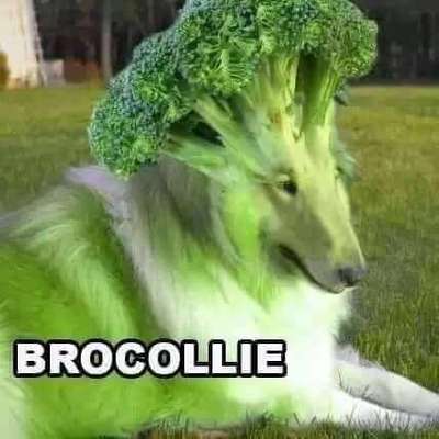 Hier ist der Spaßthread. Zum Schmunzeln und Kaputtlachen-Beitrag-Bild