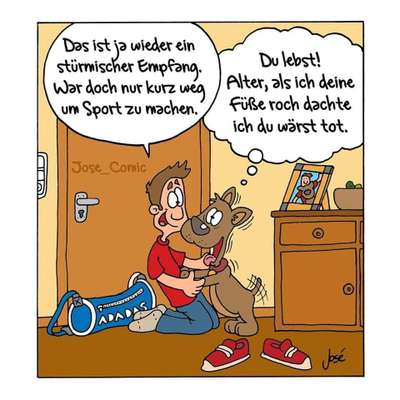 Hunde Memes-Beitrag-Bild