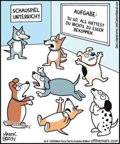 Hunde Memes-Beitrag-Bild