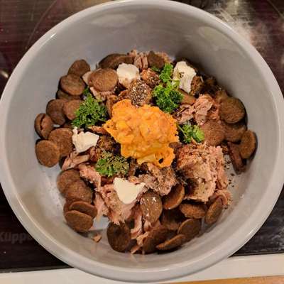 Zeigt her Eure Futternäpfe-Beitrag-Bild