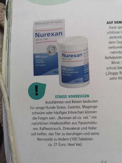 Autofahrt-Beitrag-Bild