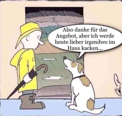 Hunde Memes-Beitrag-Bild