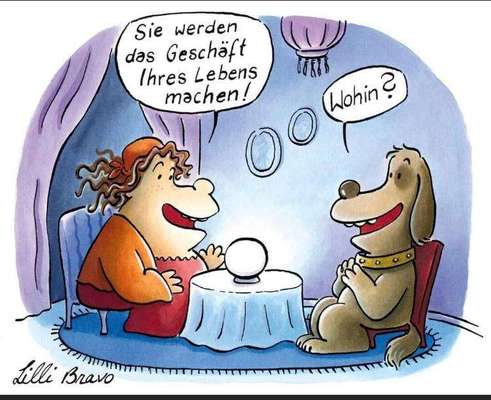 Hunde Memes-Beitrag-Bild